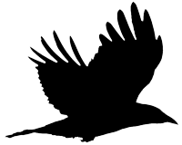 CrowTalkers flying crow signature logo